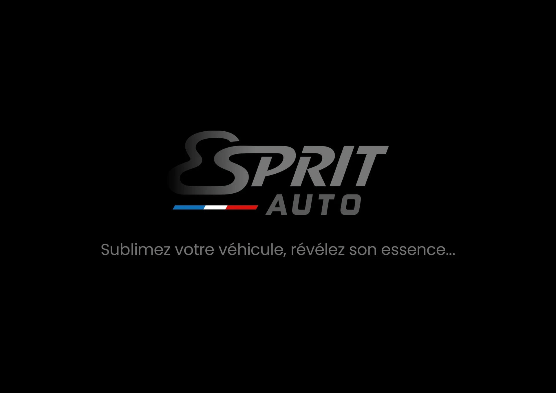 Logo Esprit Auto — page d'ouverture du portfolio