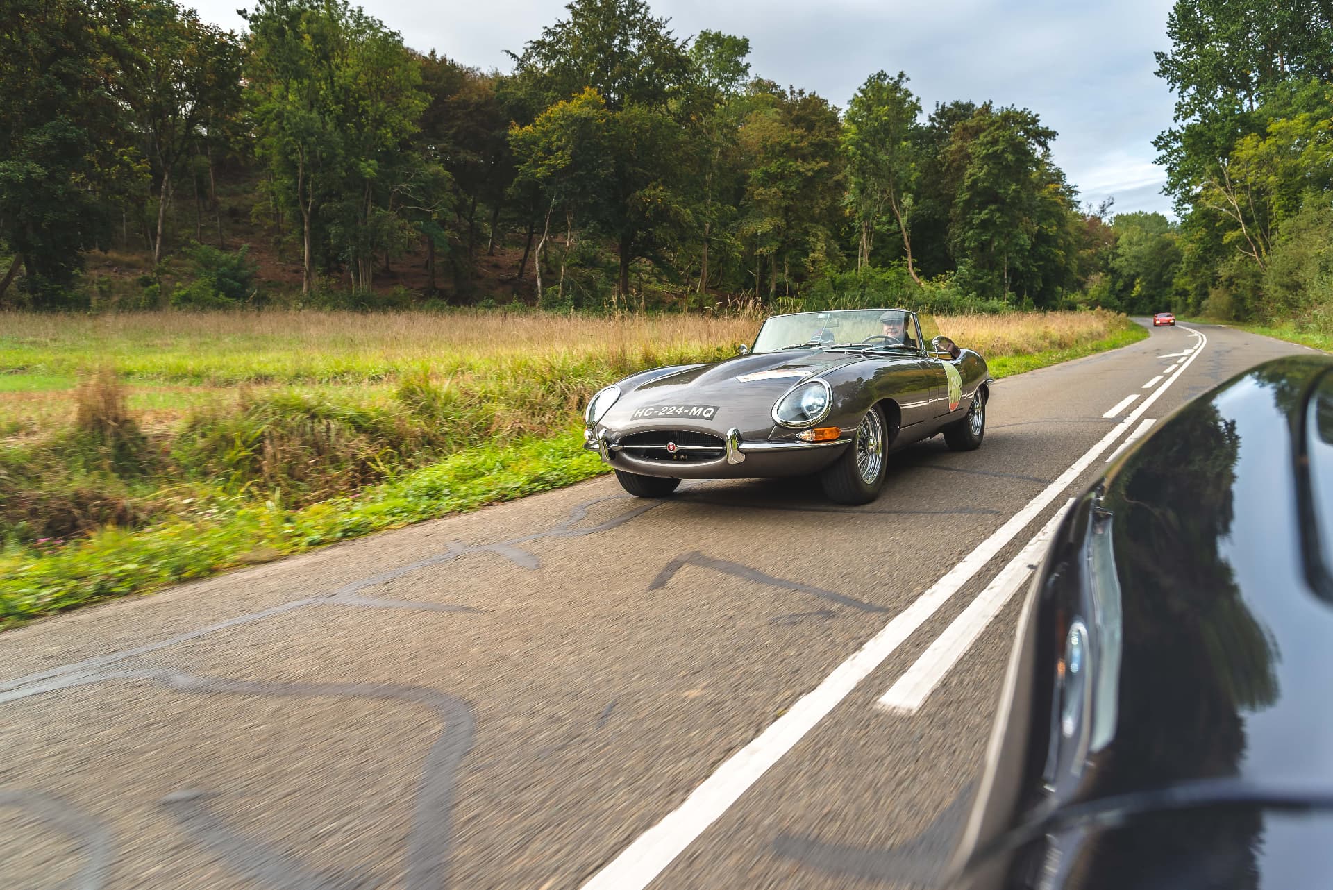 Jaguar sombre en travelling