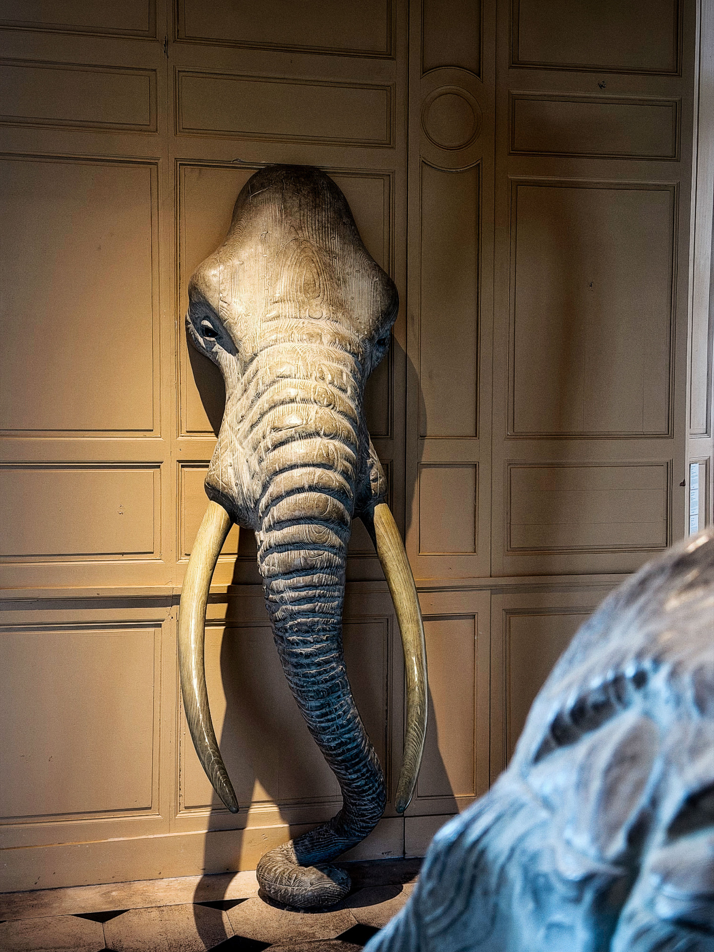 Tête d'éléphant sculptée contre les boiseries