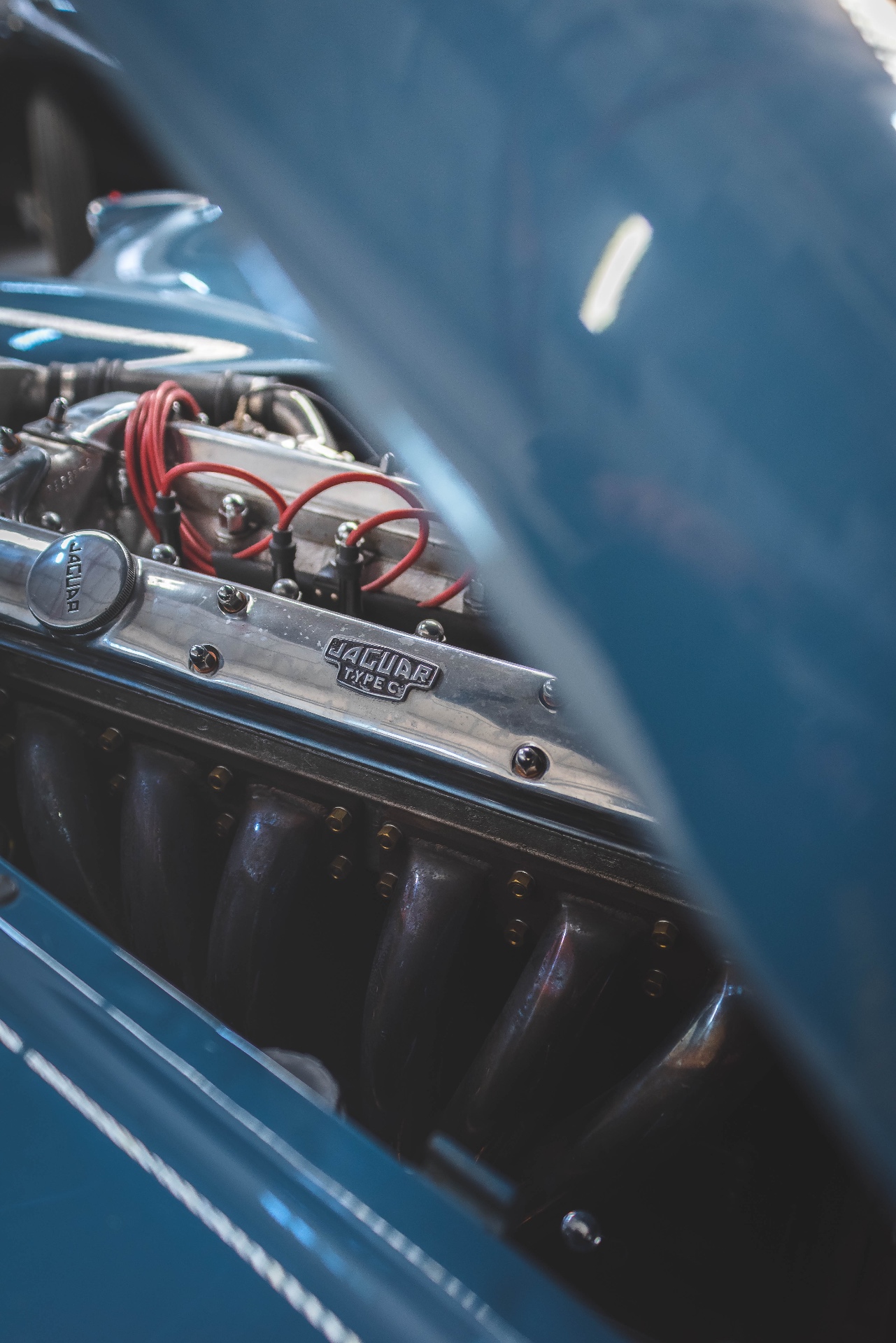Détail du moteur Jaguar Type C entrevu sous le capot bleu entrouvert