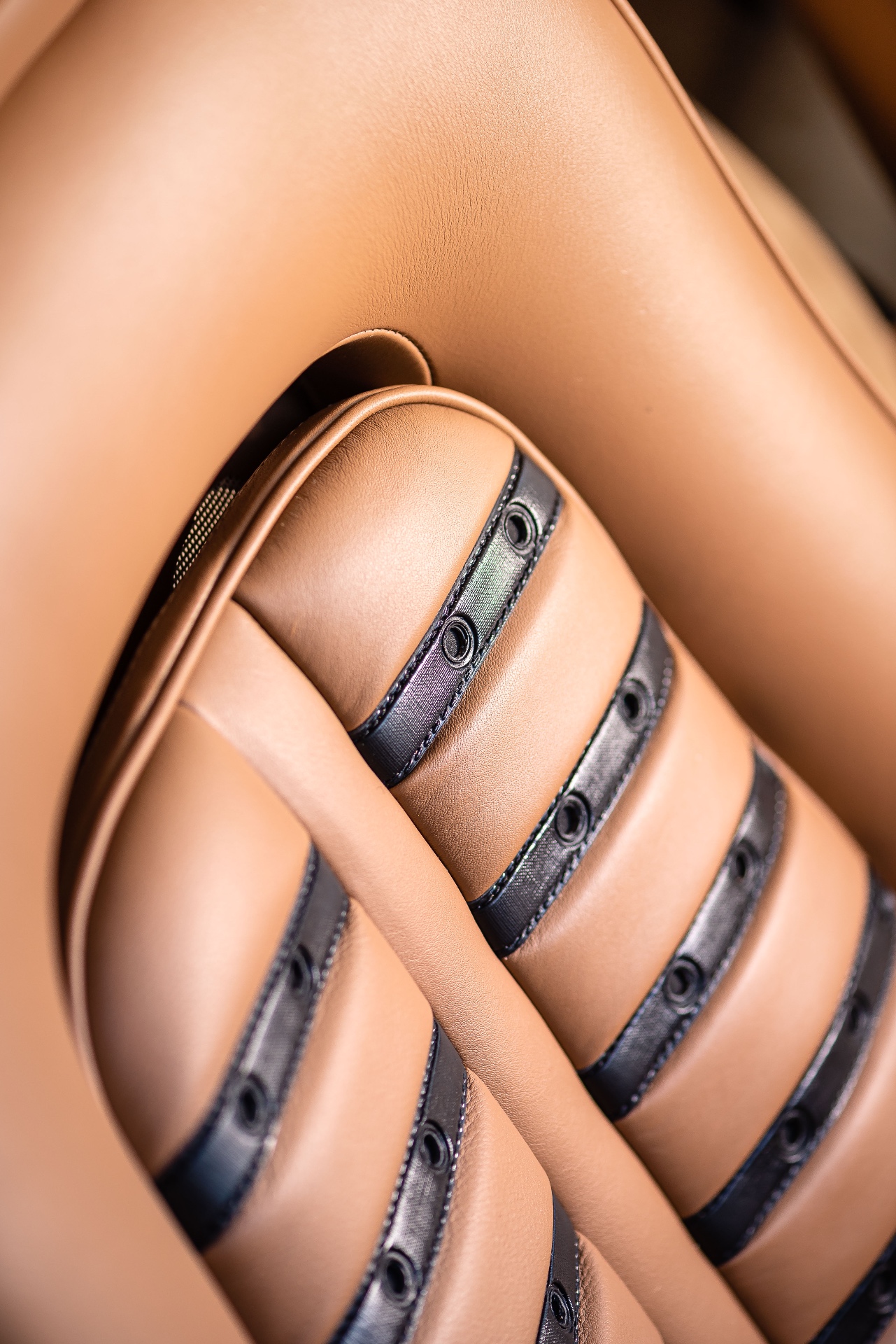 Macro du cuir cognac, sangles noires et œillets