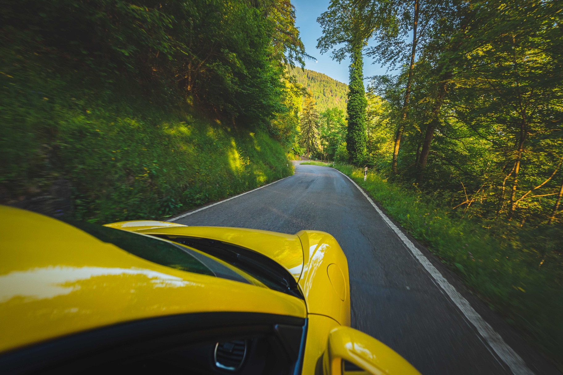 Vue embarquée sur route forestière depuis le capot de la Porsche jaune